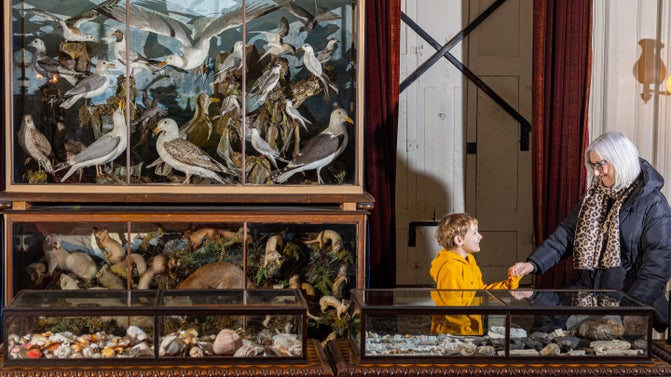 Family admiring the natural history collection in the Saloon